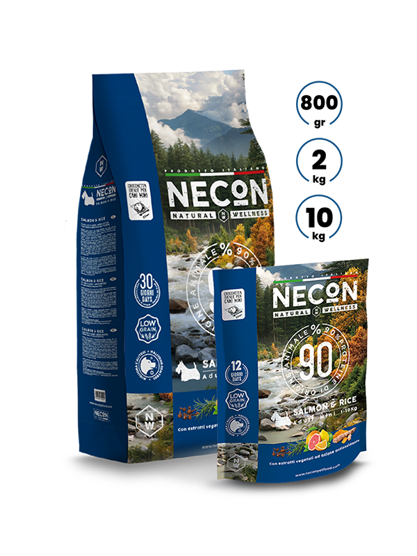 NATURAL WELLNESS | ADULT SALMON & RICE FOR DOG