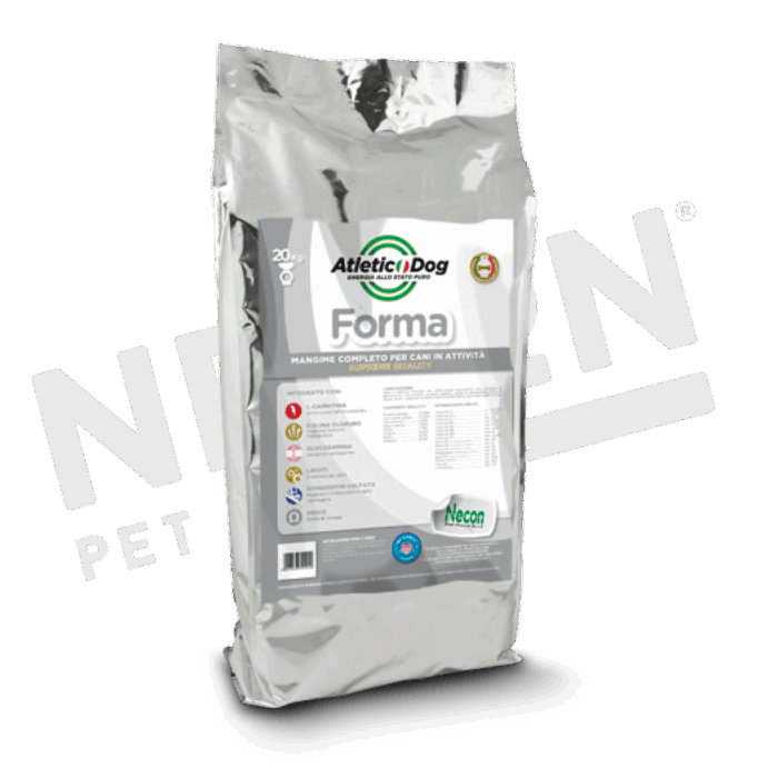 Atletic Dog _ Dog _ Forma_INTERNO Atletic Dog _ Dog _ Forma_INTERNO