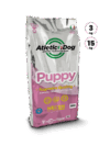 Atletic Dog _ Dog _ Puppy