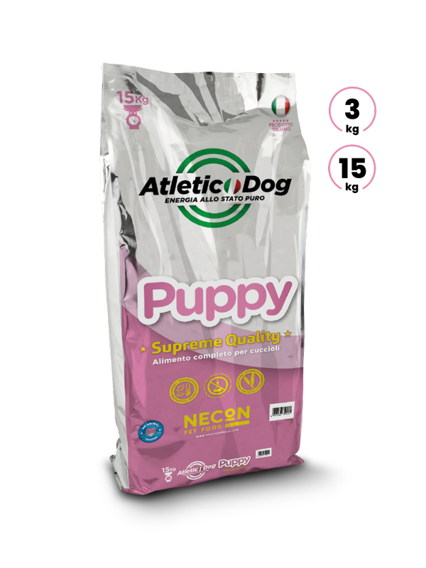 ATLETIC DOG | PUPPY