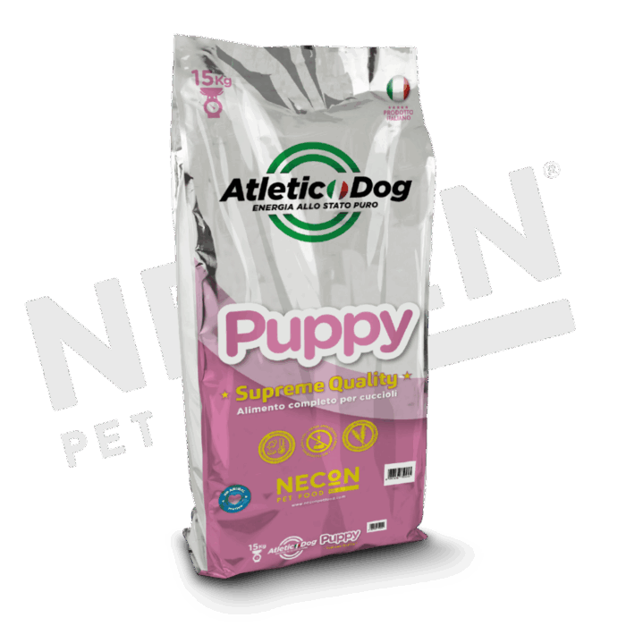 Atletic Dog _ Dog _ Puppy_INTERNO Atletic Dog _ Dog _ Puppy_INTERNO