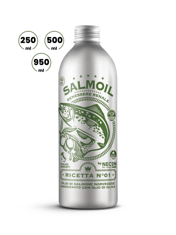SALMOIL | RICETTA 1 | BENESSERE RENALE