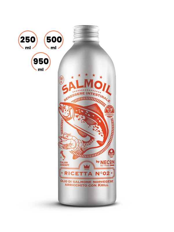 SALMOIL | RICETTA 2 | BENESSERE INTESTINALE