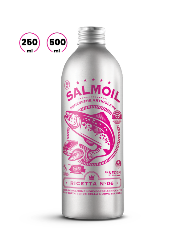 SALMOIL | RICETTA 6 | BENESSERE ARTICOLARE