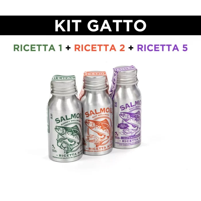 kit-gatto-1-1.jpg kit-gatto-1-1.jpg