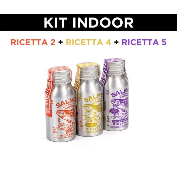 kit-indoor-1-1.jpg kit-indoor-1-1.jpg