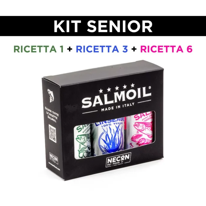 kit-senior_galleria.jpg kit-senior_galleria.jpg