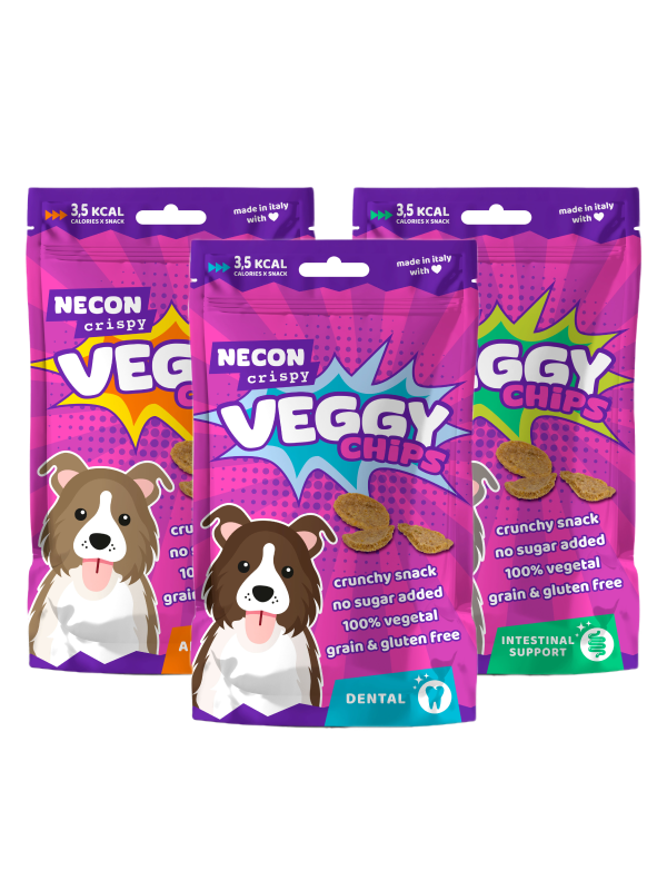 Veggy Chips | Snack Cane